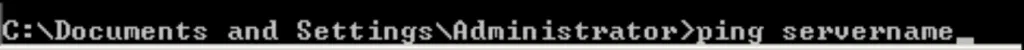 Ping the Server - Screenshot Image