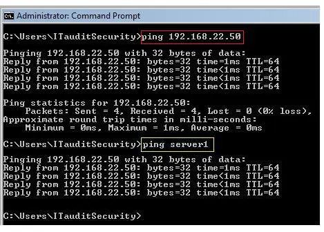 Ping the Server - Screenshot