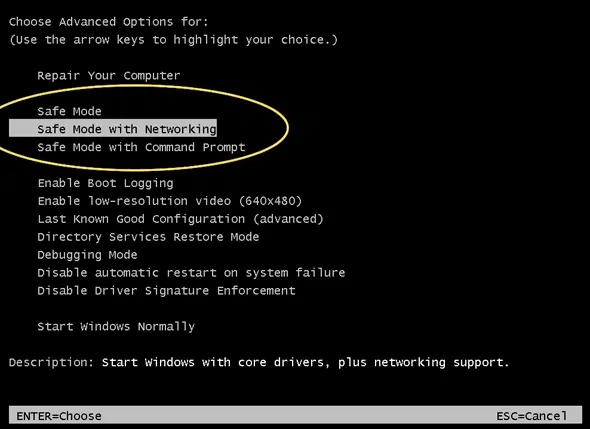Safe-mode-with-networking-Screenshot
