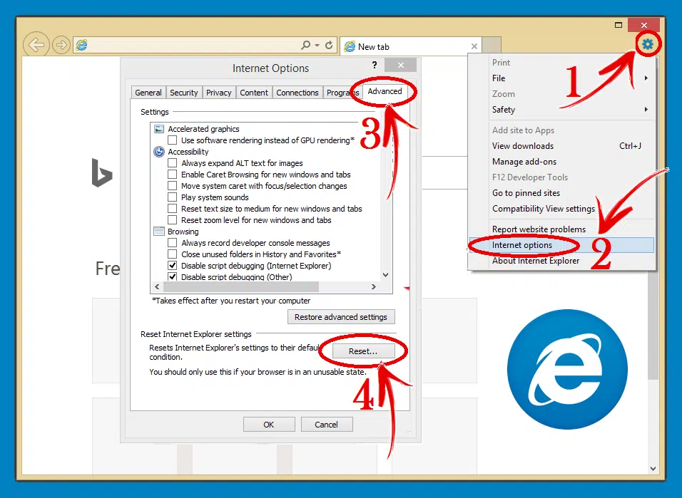 Resetting the Internet explorer settings - Screenshot Image