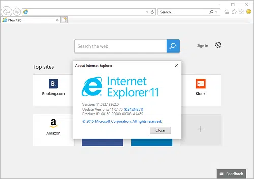 About Internet Explorer - Image