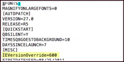 IEVersionOverride600 Image