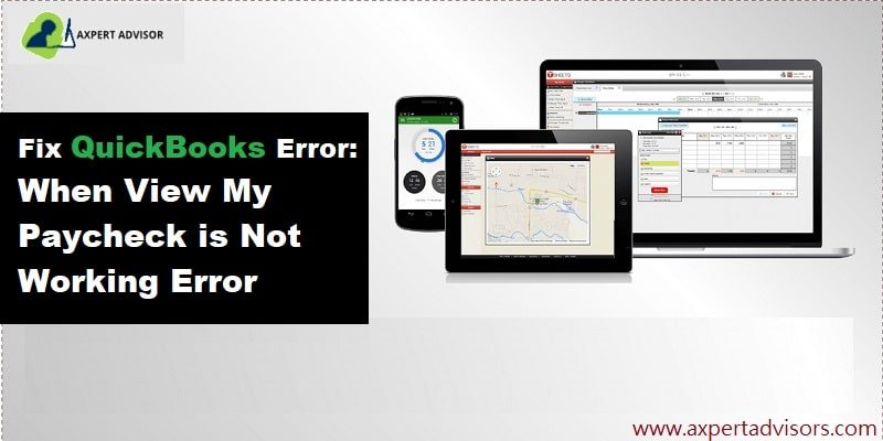 Blog 16 View My Paycheck is Not Working Issue – How to Fix It?